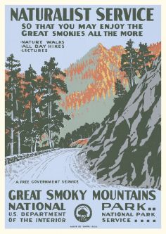 Great Smoky Mountains National Park Vintage Poster (Naturalist Service Series)
