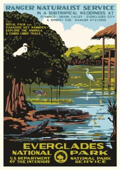 Everglades National Park Vintage Poster (Ranger Naturalist Service Series)